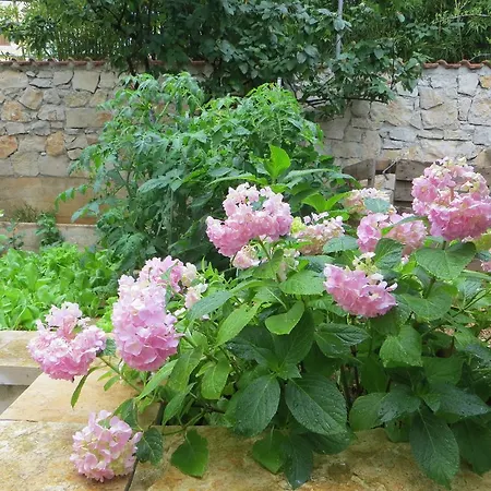Apartmani Jolic Brodarica  Exterior photo